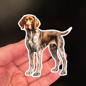 Sticker COONHOUND, honden, stickers, leuke sticker, laminaat vinyl sticker, cadeau voor huisdiereigenaar, hond, cadeau voor dierenartsen, huisdieren, hondenliefhebbers