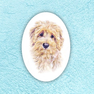 GOUDEN DOODLE Sticker, Honden, Stickers, Fun Sticker, Vinyl Glossy of Matte Laminaat Sticker, Gift Pet Owner, Hond, Cadeau voor Dierenartsen, Huisdieren, Doodle