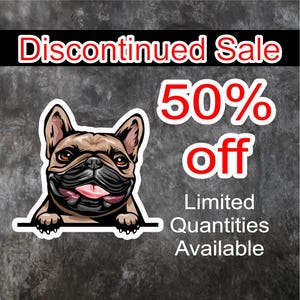 Uitverkoop sticker stopgezet: 50% korting! | Perfect voor tijdschriften en knutselwerkjes, inspirerende stickers, motiverende cadeau-ideeën
