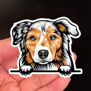Australische herder sticker, honden, stickers, leuke sticker, vinyl waterdichte sticker, terug naar school, cadeau voor huisdiereigenaar, honden, cadeau voor dierenartsen