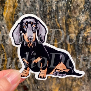 Adesivo de cachorro dachshund | Cães, Adesivos, Adesivo divertido, Adesivo de vinil, Volta às aulas, Presente para donos de animais de estimação, Cães, Cachorrinho, Presente para veterinário