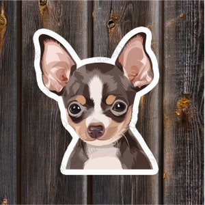 CHIHUAHUA DOG Sticker, Dogs, Stickers, Fun Sticker, Vinyl Waterproof Sticker, Back to School, Gift For Pet Owner, Dog, Gift For Vets, Pets image 5