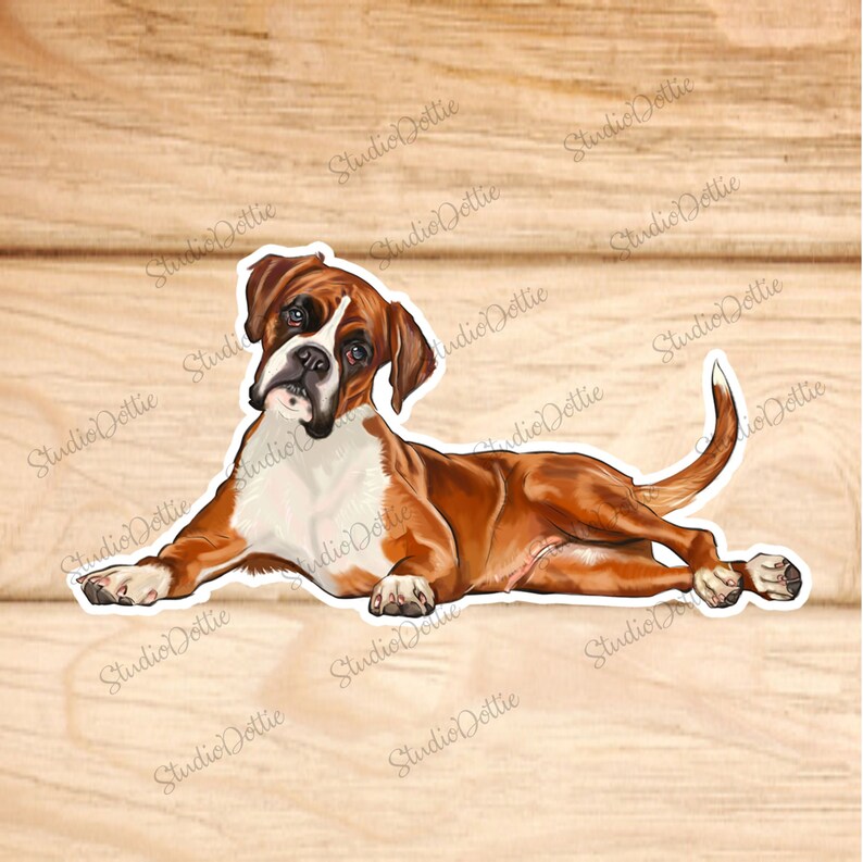 BOXER Dog Sticker Stickers Fun Sticker Vinyl Sticker Back - Etsy