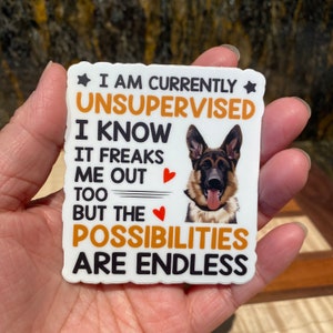 Sticker berger allemand drôle, chiens, autocollants, autocollant amusant, autocollant en vinyle laminé mat brillant, propriétaire d'animal de compagnie, chien, cadeau pour vétérinaire, animaux de compagnie, GSD