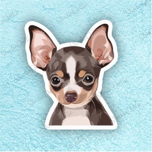 CHIHUAHUA DOG Sticker, Dogs, Stickers, Fun Sticker, Vinyl Waterproof Sticker, Back to School, Gift For Pet Owner, Dog, Gift For Vets, Pets image 2