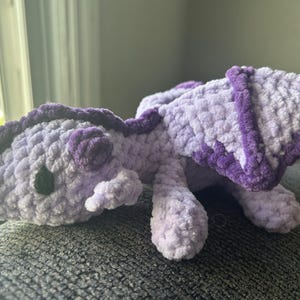 Lilac and Iris