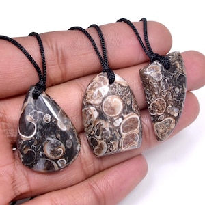 Natural Turritella Agate Necklace With Black Thread, Healing Crystal Gemstone,Natural Material from Wyoming