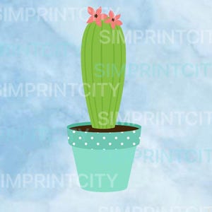 Cactus 1