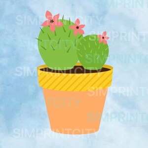 #6 de cactus