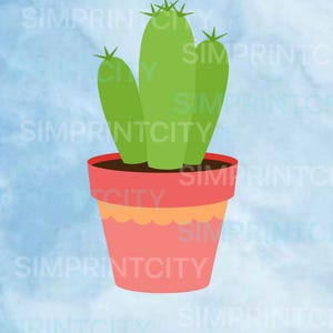 Cactus #8