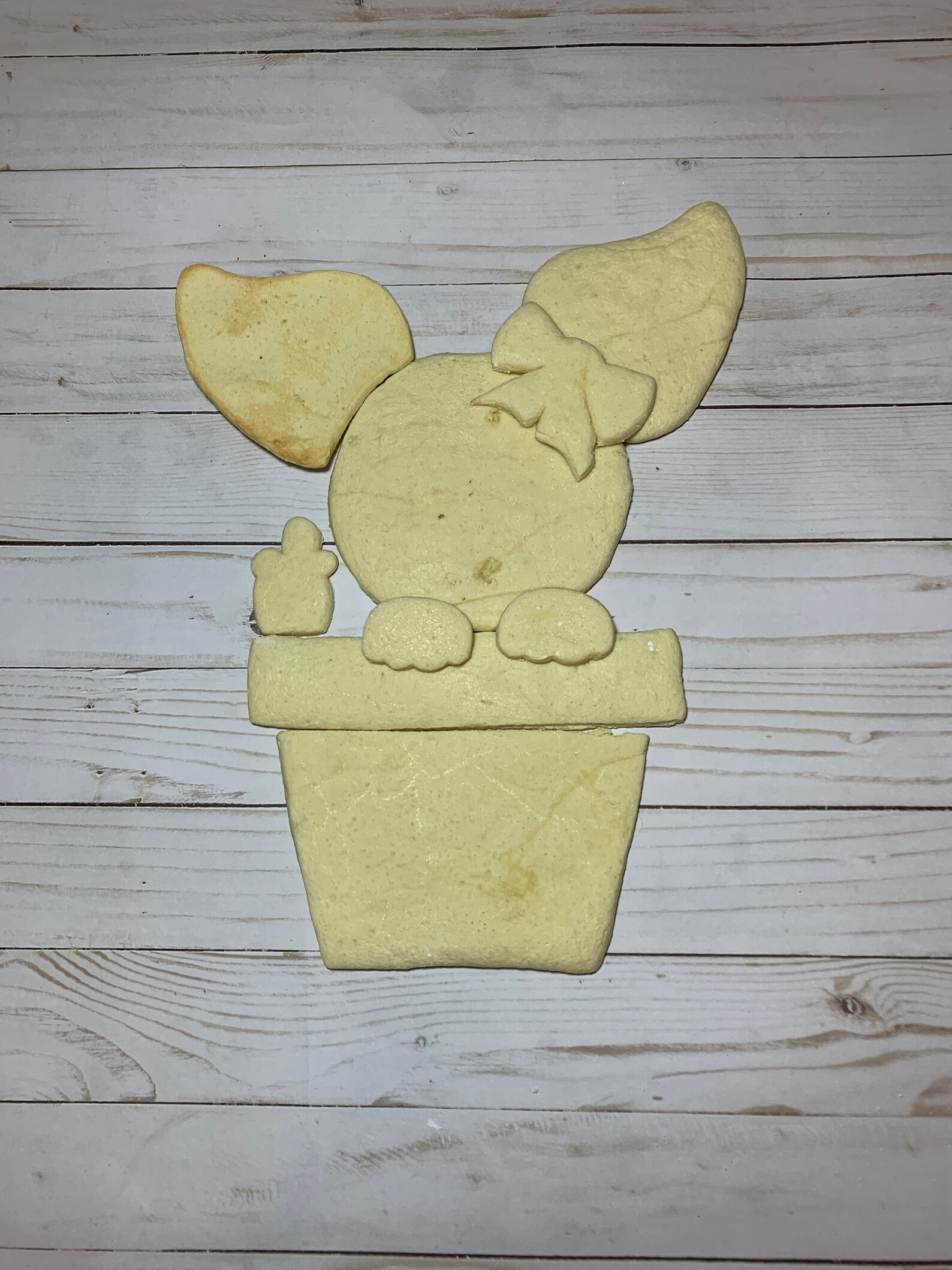 Easter Bunny Platter main image 1