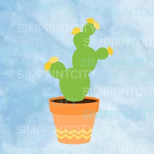 Cactus 4