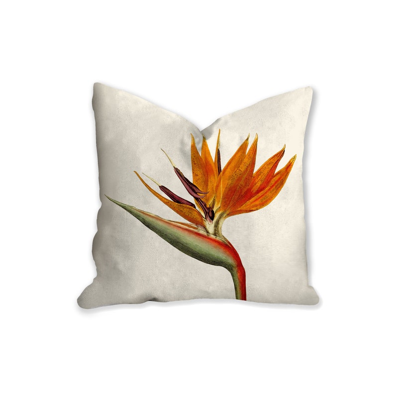 Bird of paradise throw pillow tropical pillow Interior Etsy
