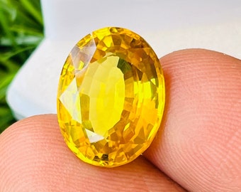 Brillant !!!! Yellow Sapphire High Quality Brilliant Sapphire Gemstone oval Shape Gemstone Size-14x11x7MM carat-11.25 and (extra gift)