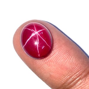 Op de afbeelding: Een dieprode ster-robijn cabochon edelsteen met een zespuntige ster.