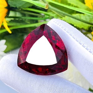 May include: A faceted, triangular, deep red gemstone with a white triangle in the center. The gem is held by a gloved hand, with yellow and green flowers in the background.