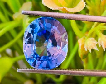 May include: A blue oval-shaped gemstone with a light blue center and a darker blue outer edge. The gemstone is held in place by a pair of tweezers.