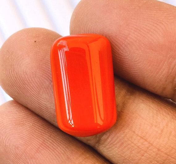 Natural red coral price clearance