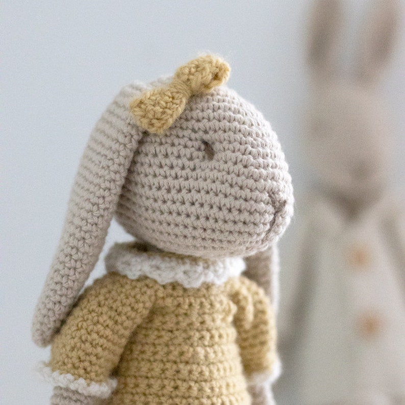 Mr & Mrs Bunny Amigurumi Crochet pattern image 6
