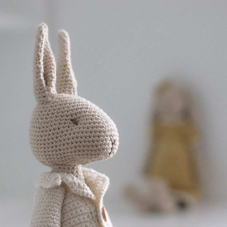 Mr & Mrs Bunny Amigurumi Crochet pattern image 4