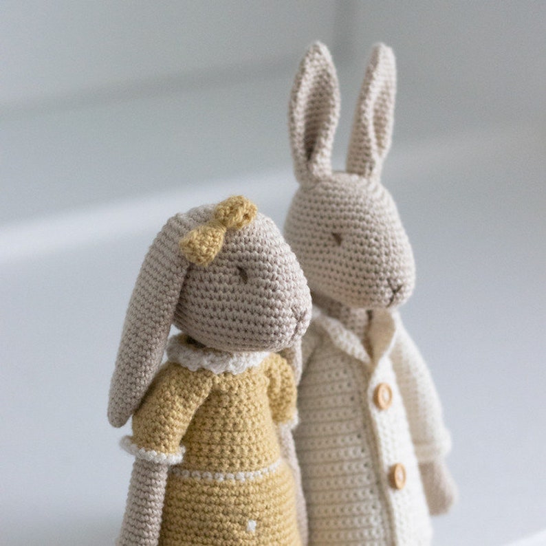 Mr & Mrs Bunny Amigurumi Crochet pattern image 1
