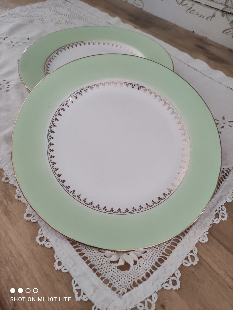 Lot de 6 assiettes plates L'Amandinoise marli vert d'eau et frise dorée image 8