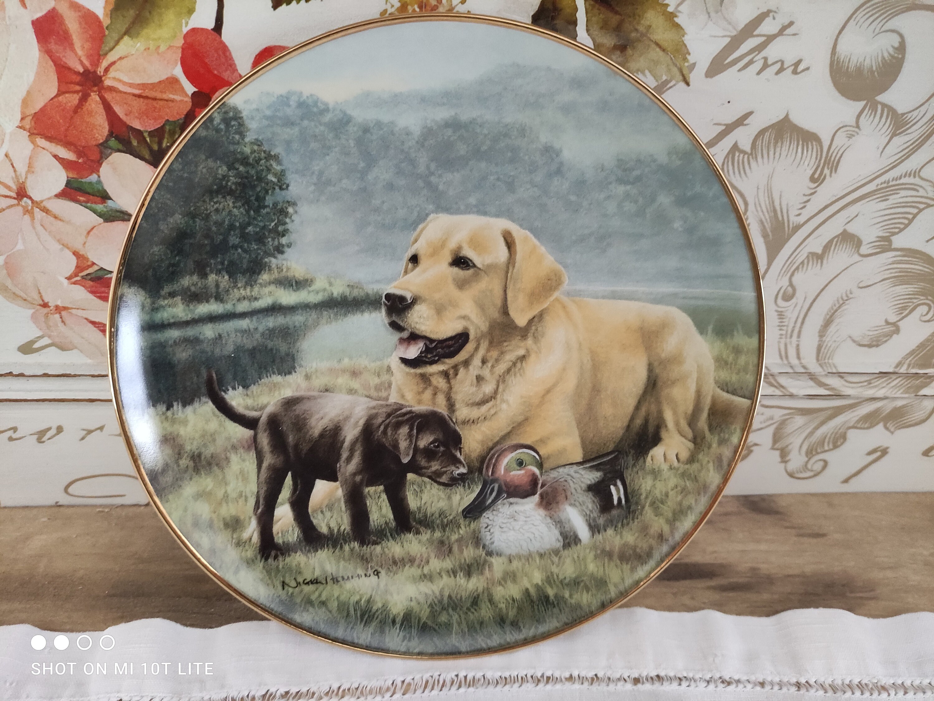 Assiette de Collection The Franklin Mint Modèle First Encounter By Nigel Hemming