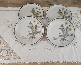 Lot de 4 assiettes à dessert vintage en porcelaine Bavaria décor fleurs d'officine