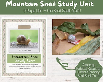 Mountain Snail + Snail Shell Craft for Forest School, Summer School or Nature Learning at Home! [Printable PDF]