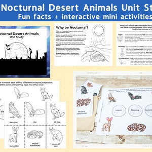 May include: A black and white printable worksheet for a unit study on nocturnal desert animals. The worksheet includes a title, "Nocturnal Desert Animals Unit Study", and a section titled "Why be Nocturnal?" with text explaining the benefits of nocturnal behavior. The worksheet also includes a section titled "Nocturnal animals have developed many physical adaptations that allow them to navigate, hunt, avoid predators, and find food in the darkness of night." with text explaining the adaptations of nocturnal animals. The worksheet also includes a section titled "Draw a line to match each animal with their nocturnal adaptation. Hint: some animals may have more than one." with images of animals and their adaptations. The worksheet also includes a section titled "Fun facts + interactive mini activities" with text explaining the fun facts and interactive mini activities.