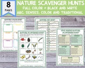 Nature Scavenger Hunts, ABC, Senses, Color (Printable PDFs)