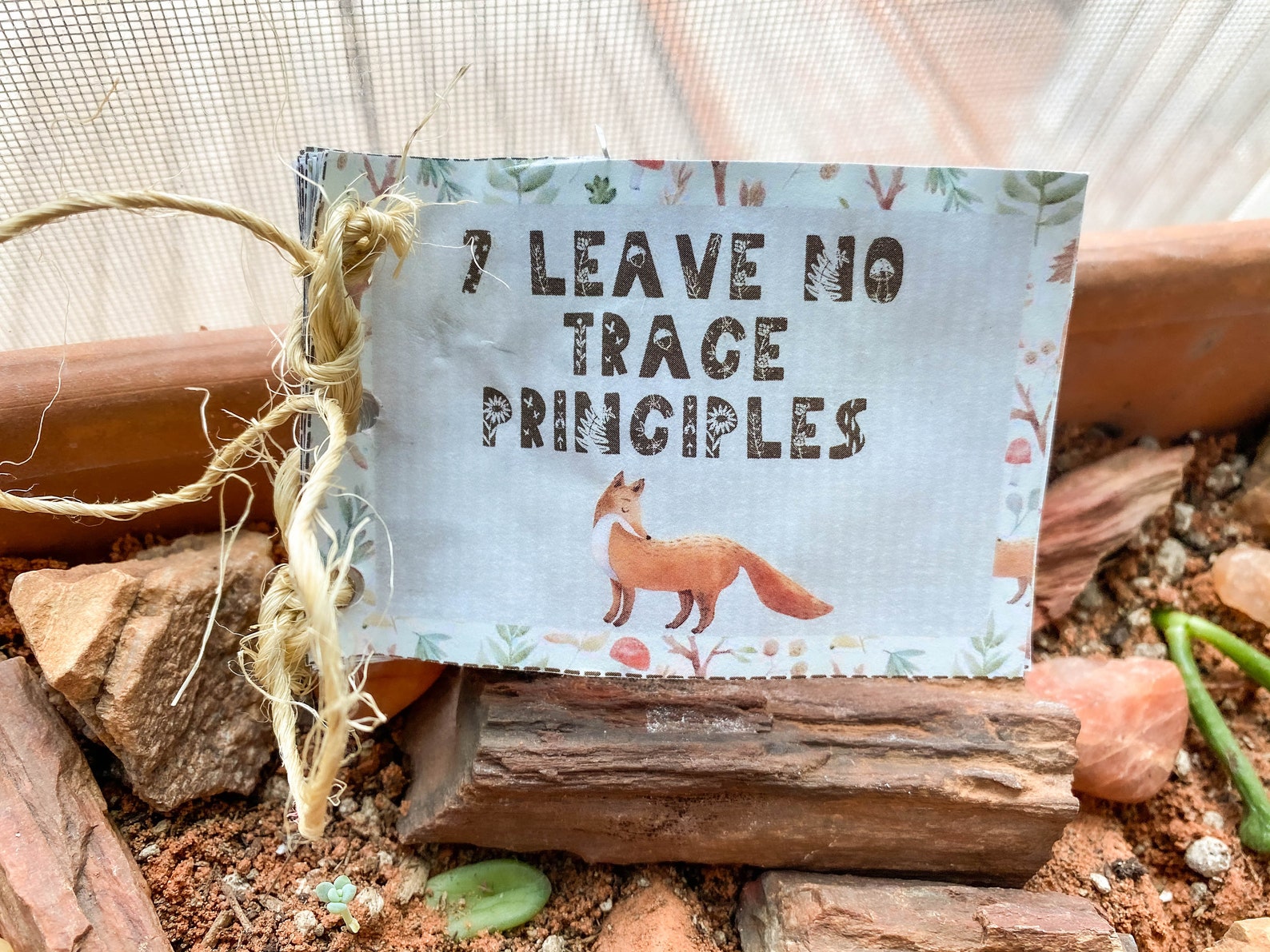 Printable Leave No Trace activity for children