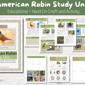 American Robin Study Unit + Craft for Forest School, Summer School or Nature Learning at Home! [Printable PDF]