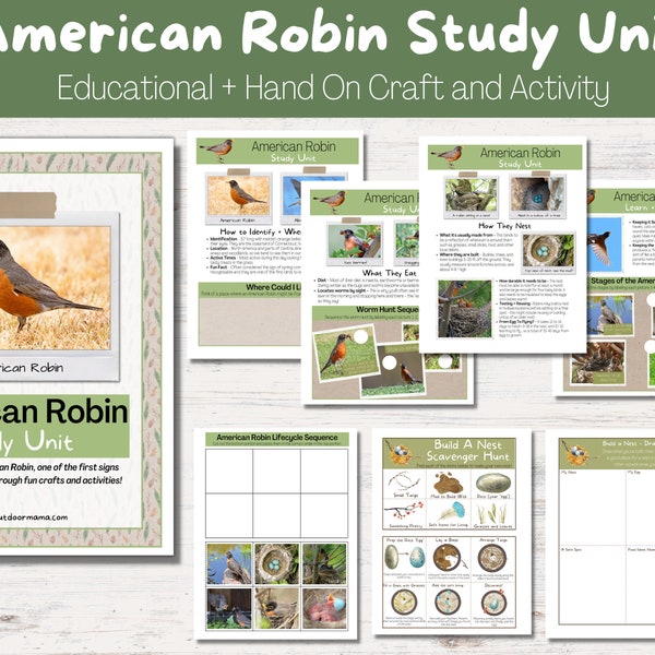 Printable American Robin Etsy Printable American Robin Etsy