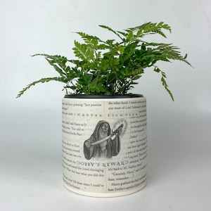 May include: A white ceramic plant pot with a green fern. The pot features text and an illustration from a book. The text includes "CHAPTER EIGHTEEN" and "THE DOBBY'S REWARD".