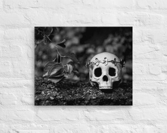 May include: A white human skull with a silver floral crown sits on a dark, textured surface. The skull is in focus, while the background is blurred and out of focus.