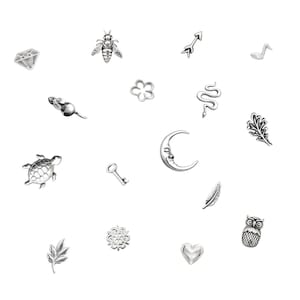 May include: A selection of small, silver-coloured charms in diverse shapes, such as a diamond, bee, arrow, musical note, mouse, flower, snake, oak leaf, turtle, key, crescent moon, feather, snowflake, heart, and owl. The charms are on a white background.