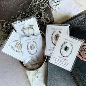 Puede incluir: Cuatro artículos Wonder Objects en envases de plástico transparente, cada uno con un objeto pequeño único como una libélula dorada, una cuenta texturizada, un colgante rectangular y una cuenta ovalada verde sobre tarjetas blancas con texto.