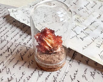 Vanadinite on Barite in Glass Dome – Natural Crystal Specimen