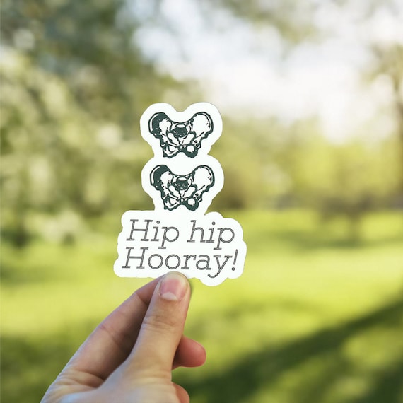 Hip Hip Hooray Funny Sticker For Med Students Eco Friendly Etsy