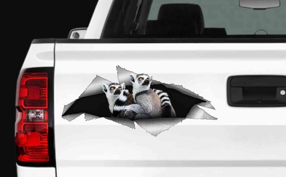 Lemur Vinyl Decal Your Favorite Pet Decal Car Decor Auto Etsy