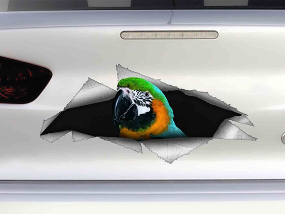 Parrot Ara Vinyl Decal Your Favorite Pet Decal Car Decor Etsy