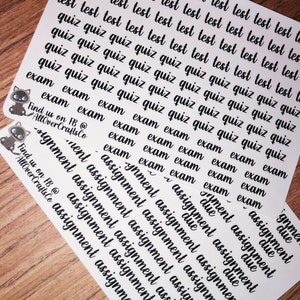 Academic Set - College Stickers - Test and Assignments - Planner Stickers - Cute Study Stickers - Academic Stickers - School Planner Sticker