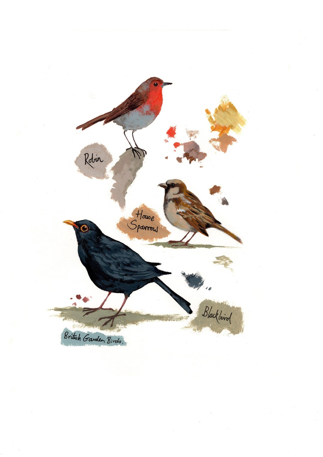 British Garden Birds Print - Etsy