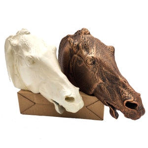 Head of a horse of Selene Statue white or bronze handmade sculptures