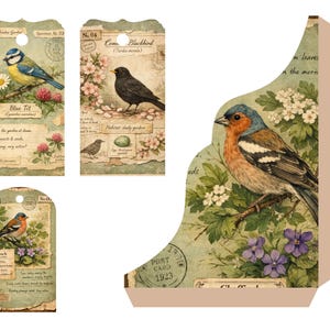 Kit imprimible para diario de archivo de aves del bosque, páginas de ornitología vintage, descarga digital para diario creativo. imagen 12