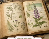 Vintage Herbarium Pages – Botanical Journal Printables, Antique Plant Illustrations, Nature Study Junk Journal Kit
