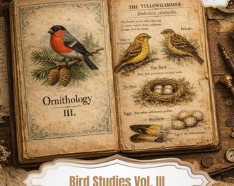 Ornithology Archive – Victorian Bird Studies Vol. III Junk Journal Download