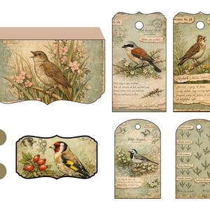 Kit imprimible para diario de archivo de aves del bosque, páginas de ornitología vintage, descarga digital para diario creativo. imagen 15