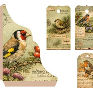 Kit imprimible para diario de archivo de aves del bosque, páginas de ornitología vintage, descarga digital para diario creativo. imagen 9